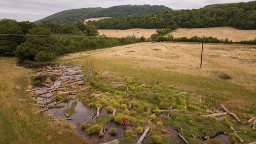 River restoration project at Holnicote, Somerset